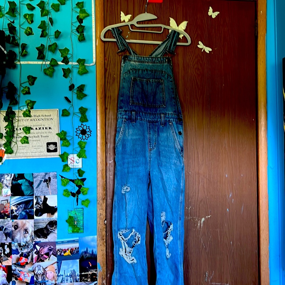 Ripped Jean overalls wild fable xs